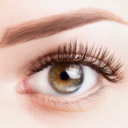 Female eye with long eyelashes. Classic eyelash extensions and light brown eyebrow close-up. Eyelash extensions, lamination, microblading, tattoo, permanent, cosmetology concept.
